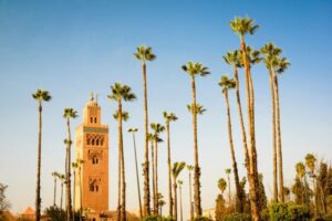 best-things-to-do-in-marrakech